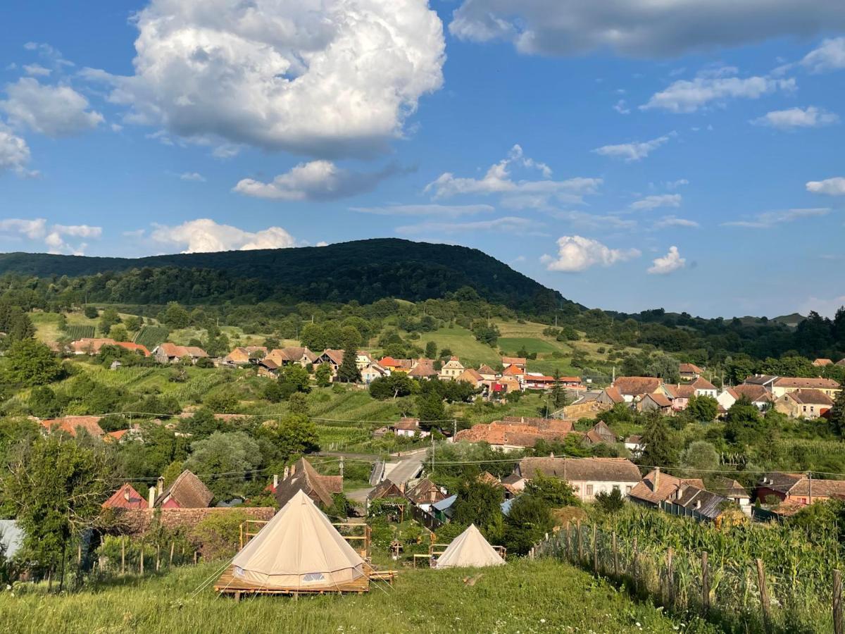 Saschiz 130/Lodging And Glamping Hotel Exterior photo